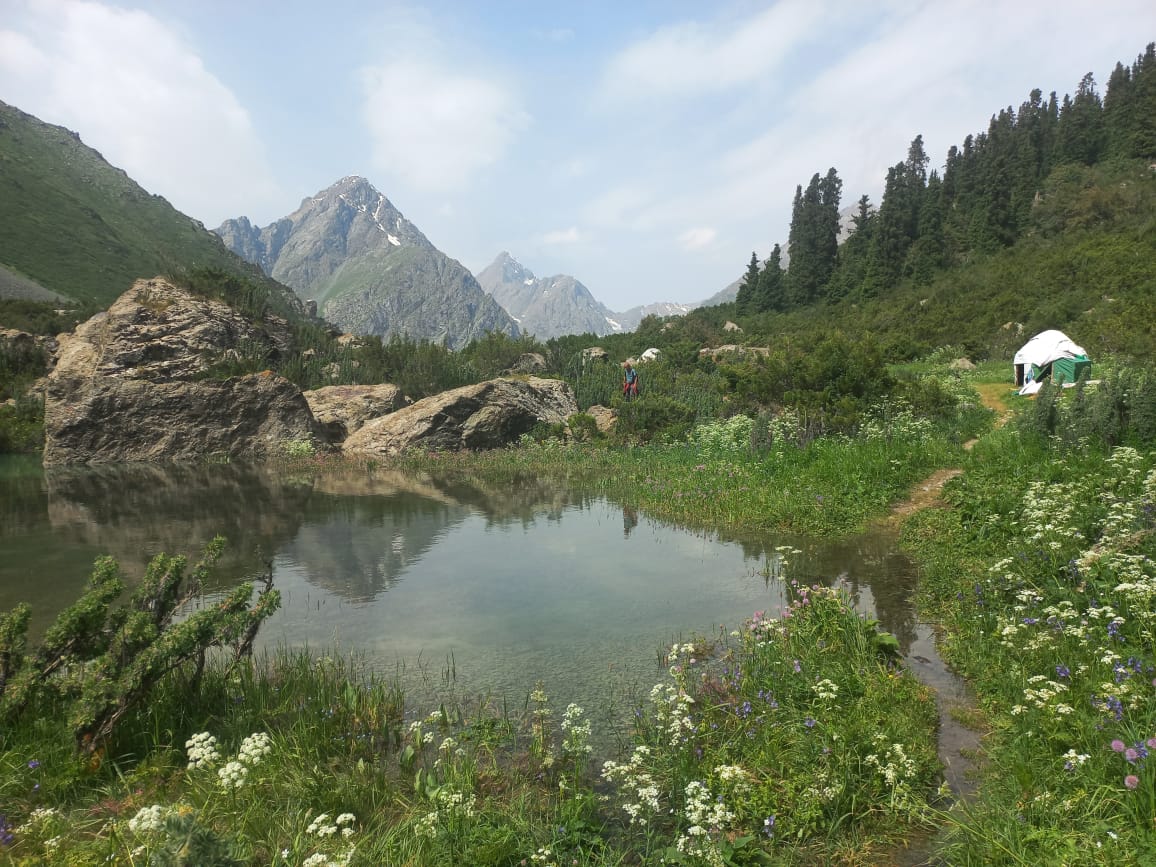 Crossing an Alpine Pass