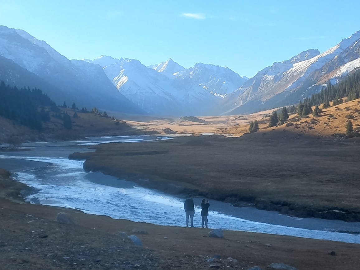 Comfortable SUV Transfer